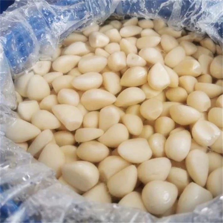 150-250pcs/kg peeled white garlic in brine in drums