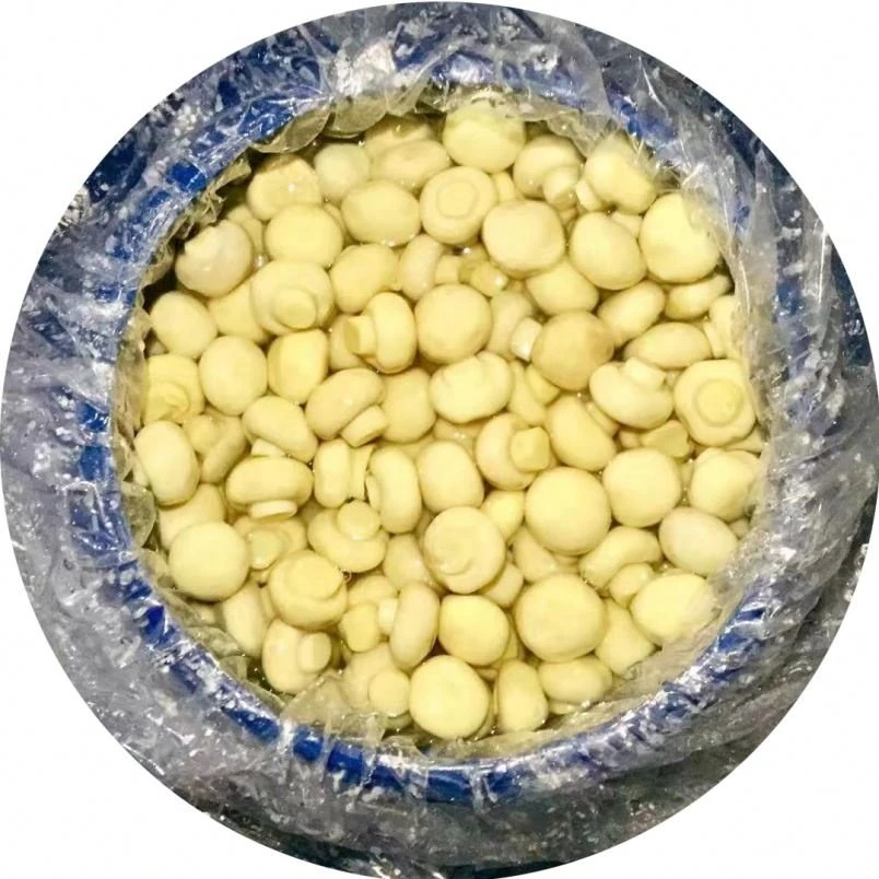 ব্রাইন মধ্যে বোতাম মাশরুম