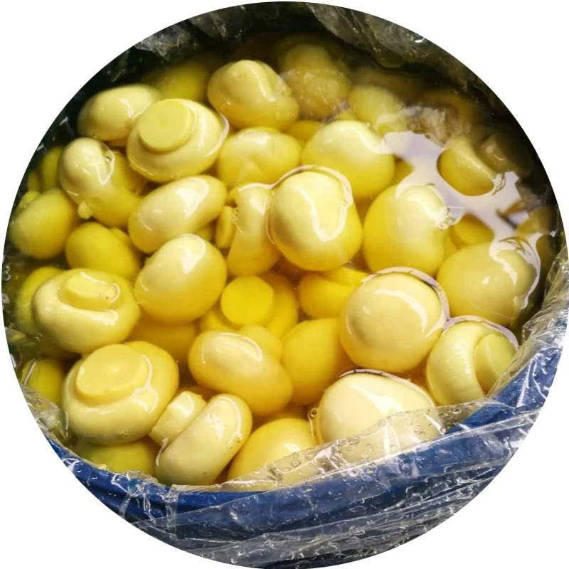ড্রামসে চ্যাম্পিনন মাশরুম