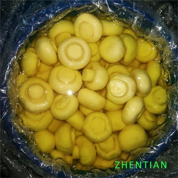 Good quality whole white mushroom in SO2 in drums