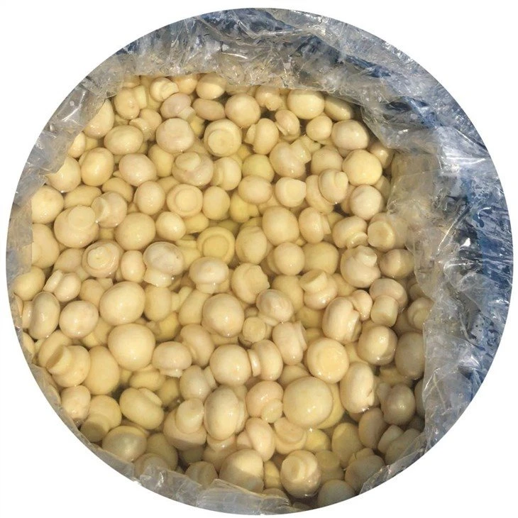 Vinegar white mushroom in plastic drums