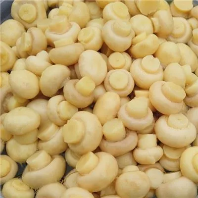 ড্রামে সংরক্ষিত মাশরুম