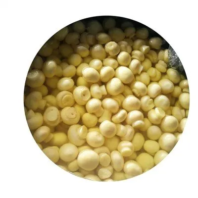 SO₂ শ্যাম্পিনন মাশরুম ড্রামসে