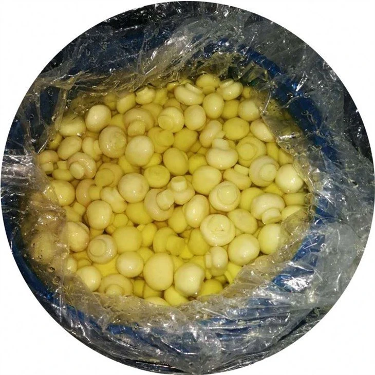 Best whole white mushroom in salted water in drum