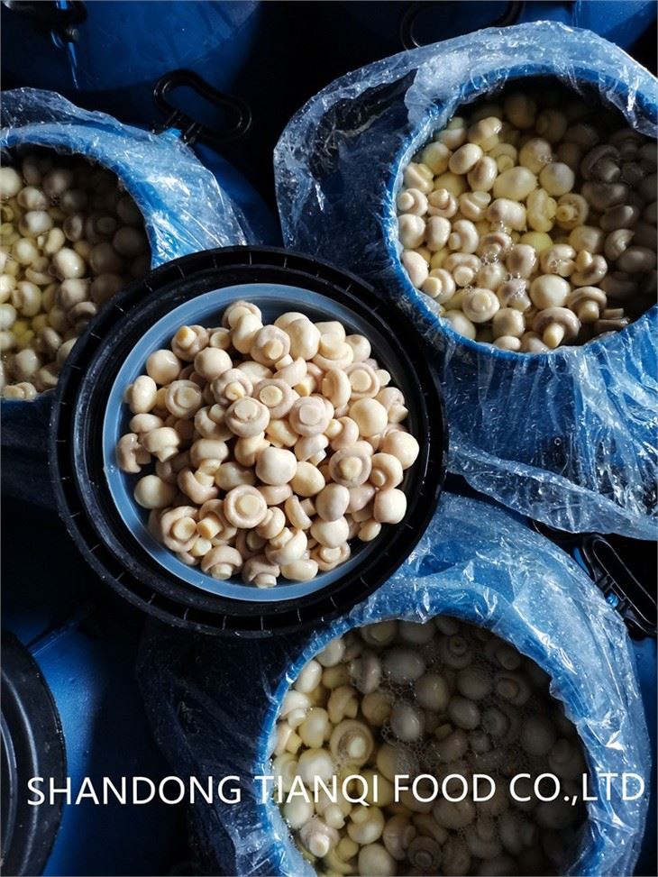 Vinegar Champignon Mushroom in plastic drums