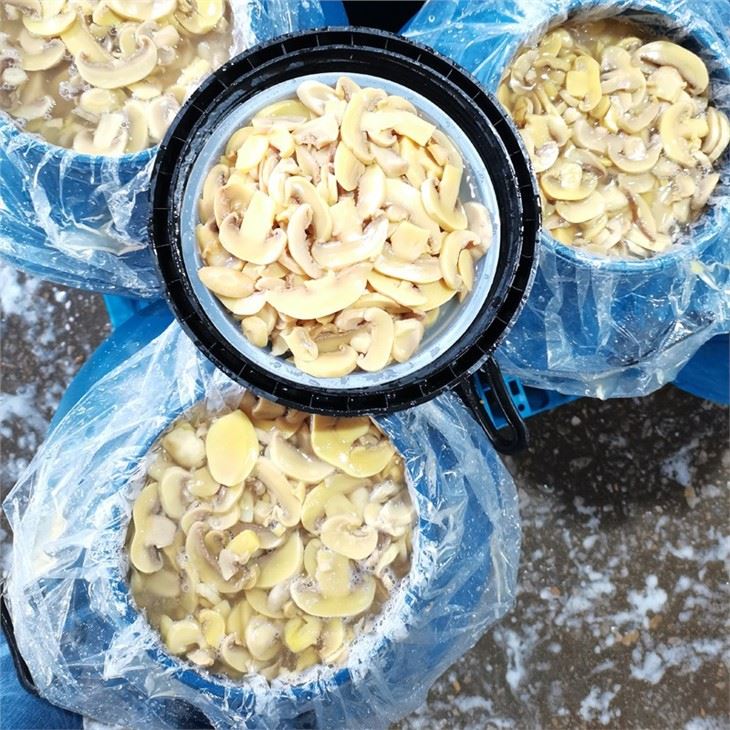 Good quality PNS white mushroom in drums