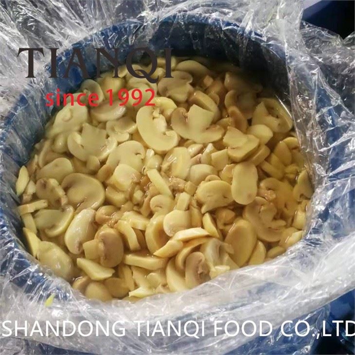 Fresh Preserved White Mushroom in Drums Fresh Preserved White Mushroom in Drums
