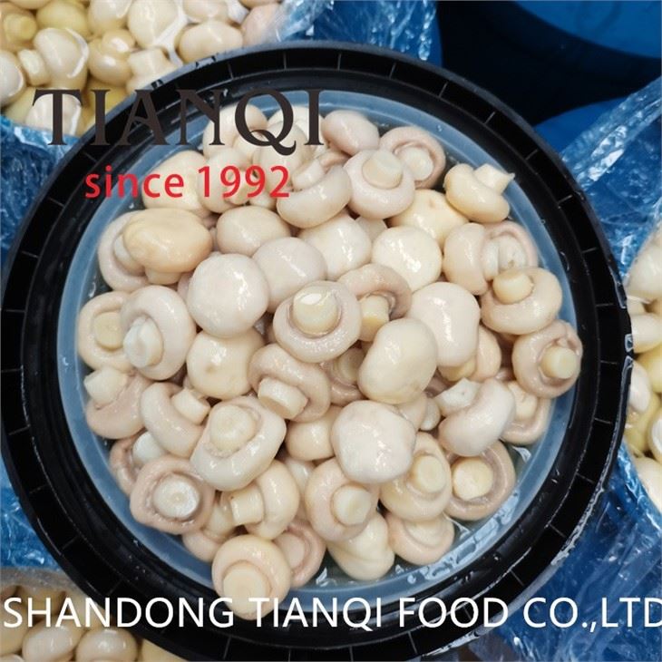 Brined champignon white mushroom in drums