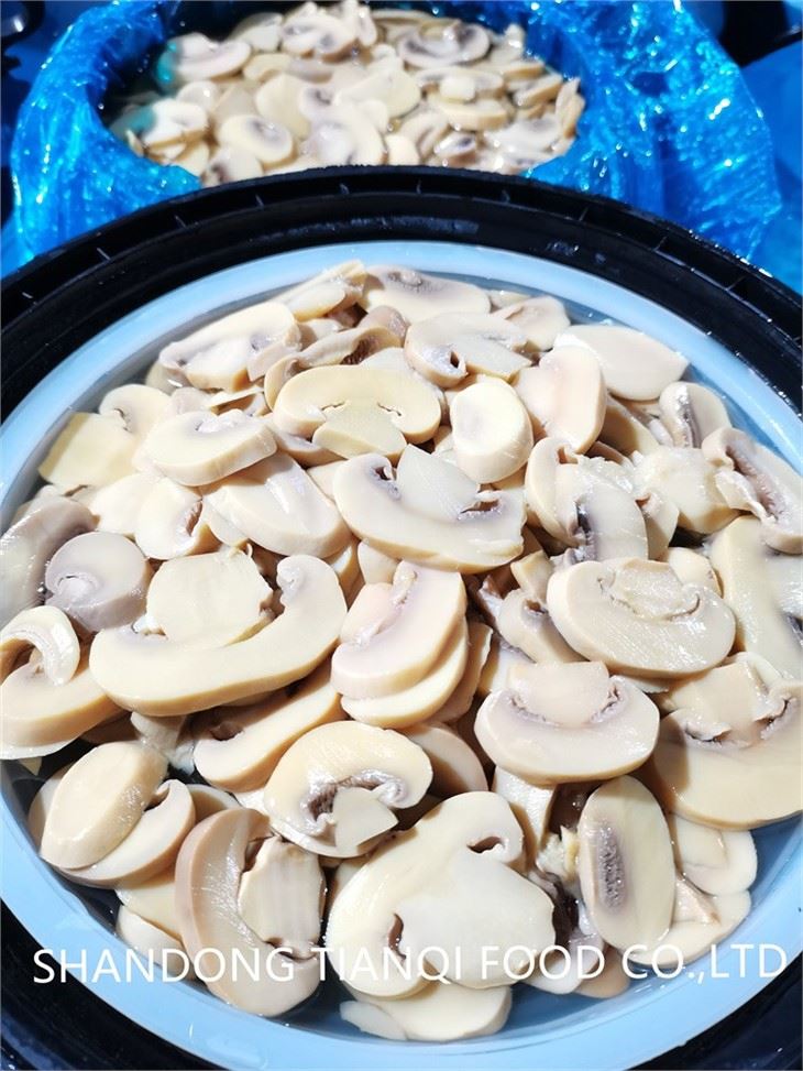 Brined salted mushroom in plastic drums