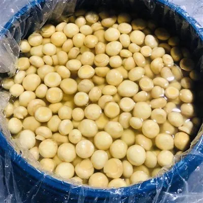 ড্রামে ব্রিনে সাদা মাশরুম চাষ করা হয়